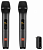 Микрофонный комплект JBL Wireless Microphone 